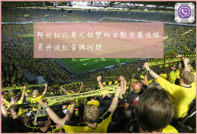 阿达拉比奥尤称赞帕尔默为最佳球员并谈红黄牌问题