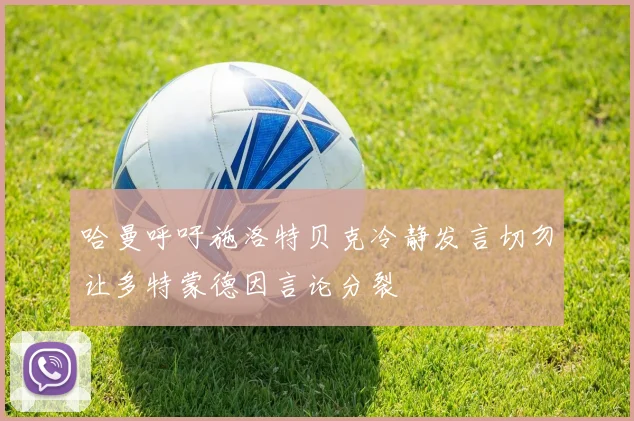 哈曼呼吁施洛特贝克冷静发言切勿让多特蒙德因言论分裂