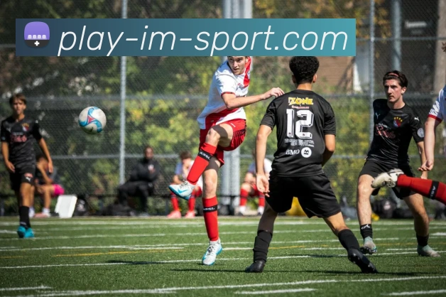 多媒体互动体验